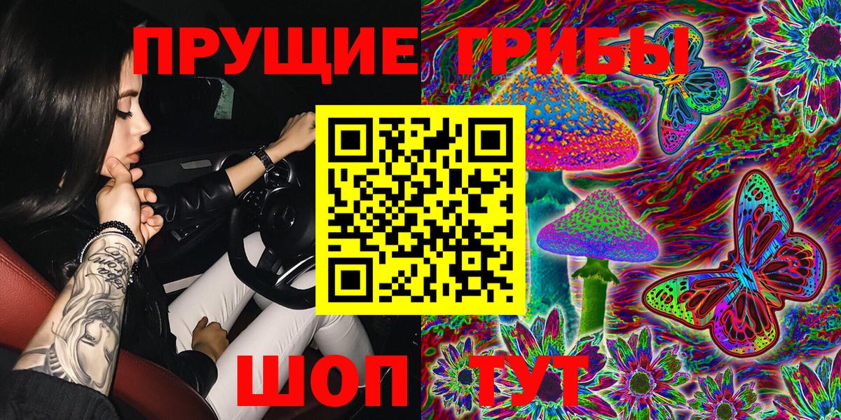 Псилоцибиновые грибы GOLDEN TEACHER  Вход с VPN  Унеча 