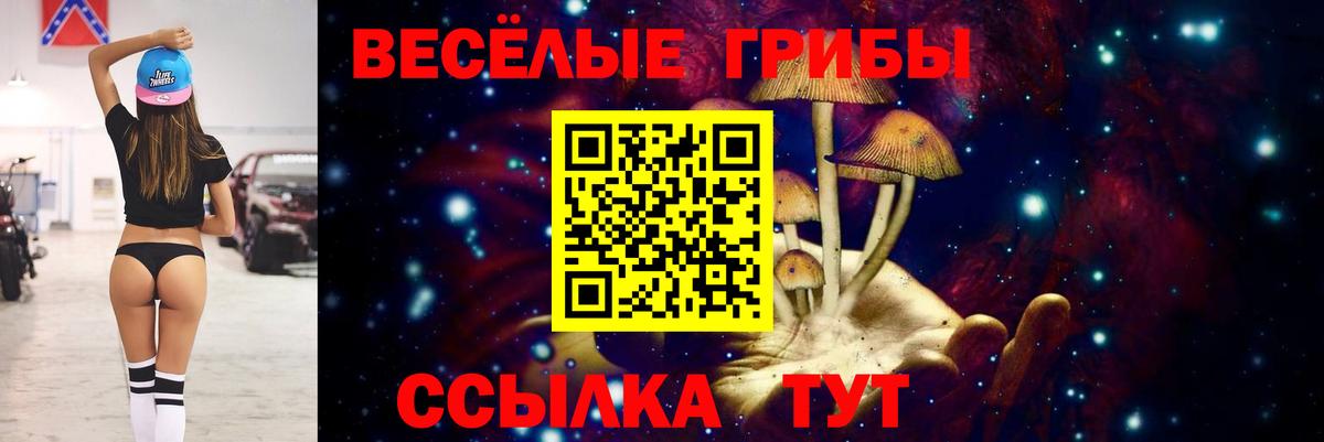 Галлюциногенные грибы Psilocybe Унеча